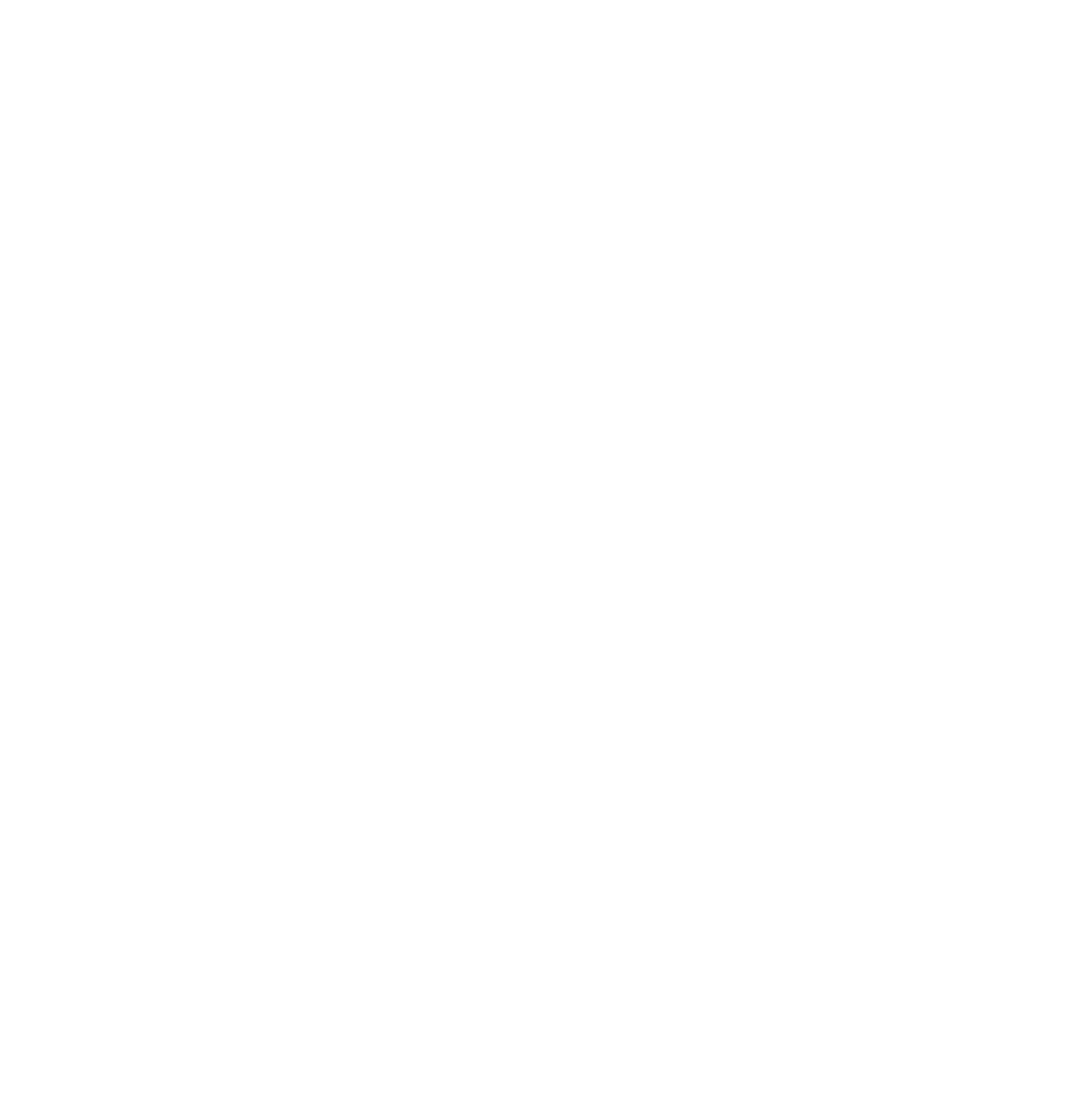 Animation 1